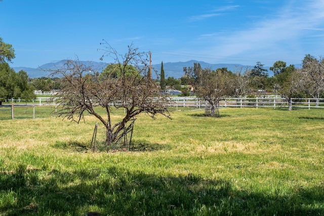 view of yard with fence, a rural view, and a mountain view