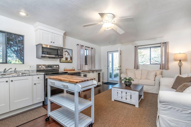kitchen with appliances with stainless steel finishes, white cabinets, a sink, open floor plan, and dark wood-type flooring