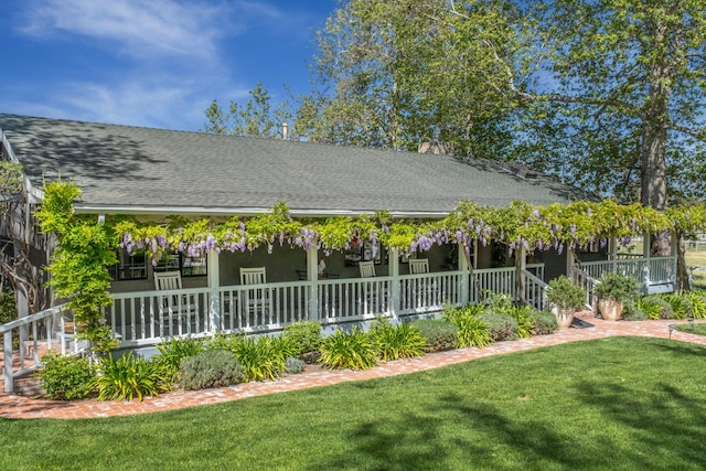 back of house featuring a lawn, stucco siding, covered porch, and roof with shingles