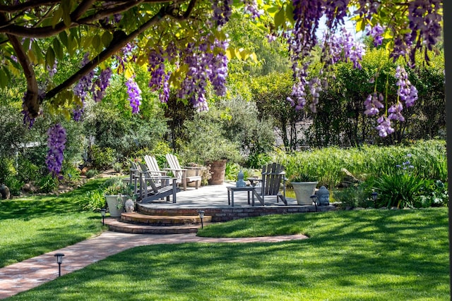 view of home's community with a lawn