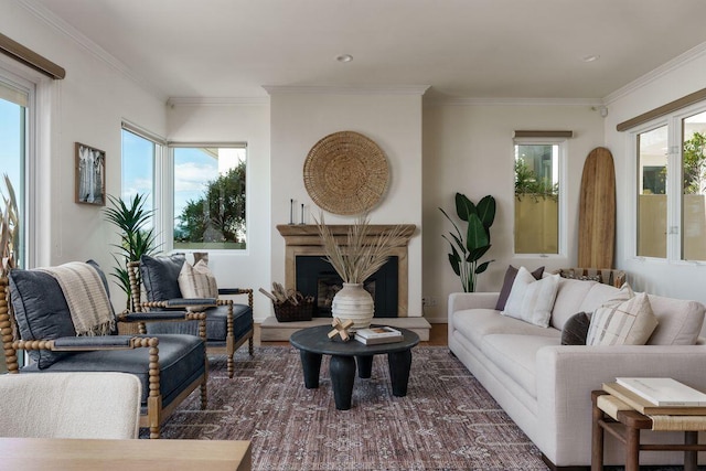 living area with crown molding, a fireplace with raised hearth, and dark wood-type flooring