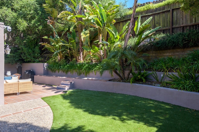 view of yard with a fenced backyard and a patio area