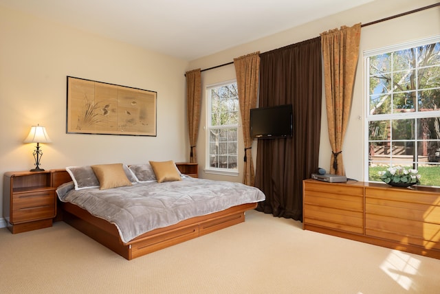 bedroom featuring carpet floors