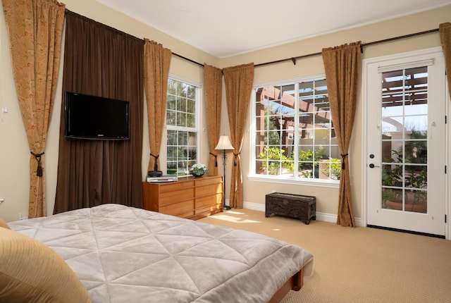 bedroom with baseboards, access to outside, and carpet
