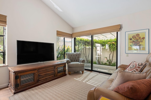 living area featuring vaulted ceiling