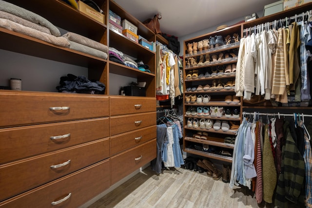 walk in closet featuring wood finished floors