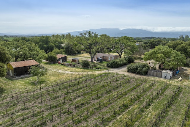 drone / aerial view featuring a mountain view and a rural view