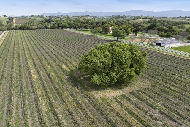 bird's eye view with a mountain view and a rural view