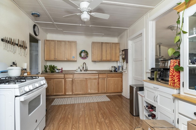 kitchen featuring white gas range, ceiling fan, light wood-style flooring, and a sink