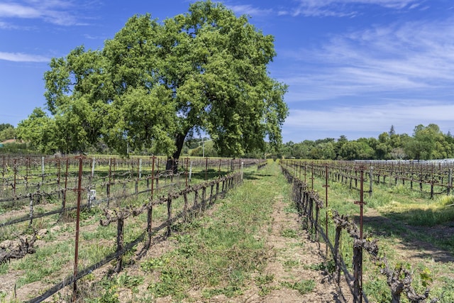 view of yard featuring fence and a rural view