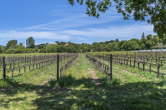 view of yard featuring fence and a rural view