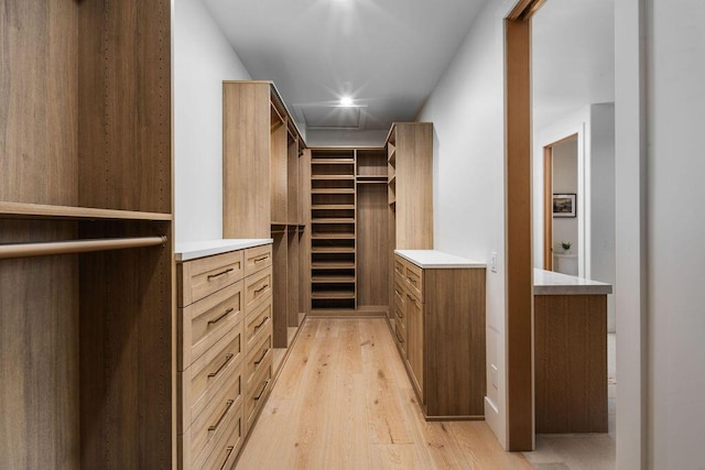 spacious closet with light wood-type flooring