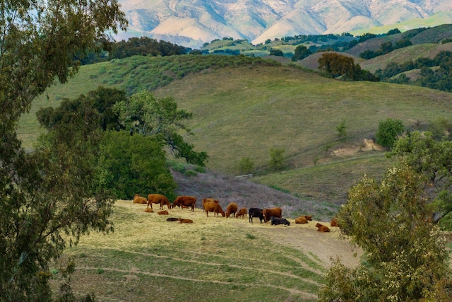 3325 Figueroa Mountain Rd, Los Olivos, CA 93460 - aerial view of sparsely populated area featuring a pastoral area and mountains