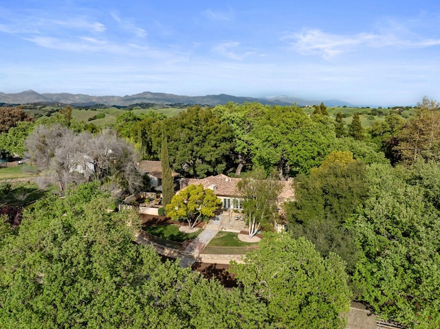 3325 Figueroa Mountain Rd, Los Olivos, CA 93460 - view of subject property with a heavily wooded area