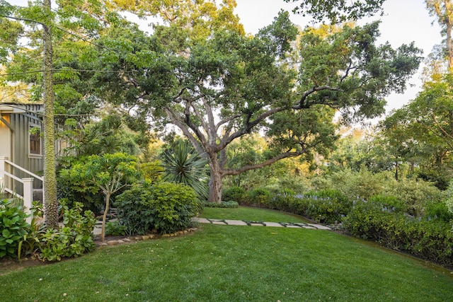 1077 Summit Rd, Santa Barbara, CA 93108 - photo 22