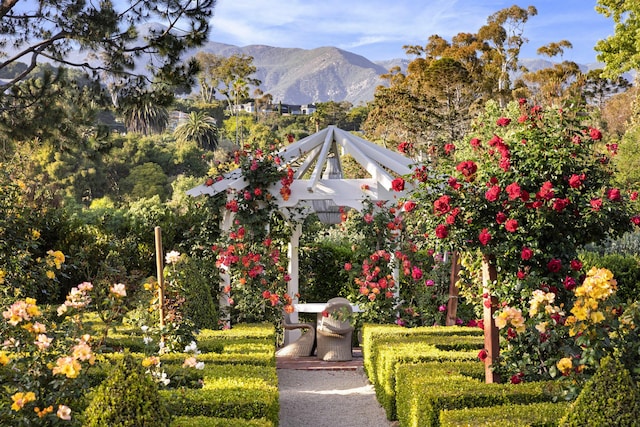 1077 Summit Rd, Santa Barbara, CA 93108 - photo 5