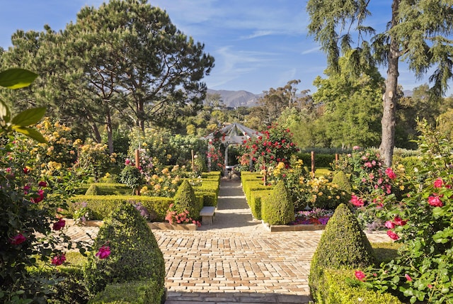 1077 Summit Rd, Santa Barbara, CA 93108 - photo 16