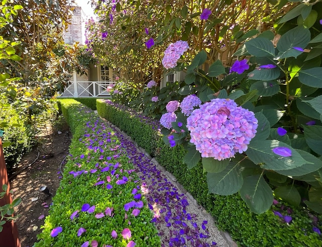 1077 Summit Rd, Santa Barbara, CA 93108 - photo 18