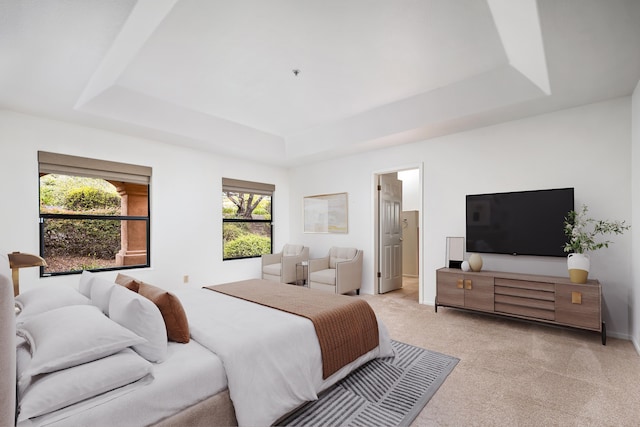 4643 Gerona Way, Santa Barbara, CA 93110 - bedroom featuring a raised ceiling, multiple windows, and light carpet