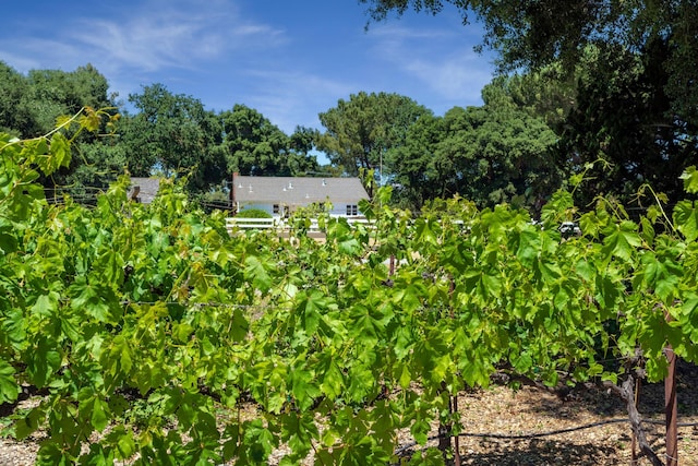 3142 Baseline Ave, Santa Ynez, CA 93460 - photo 40
