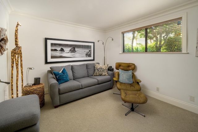3375 Foothill Rd Unit 911, Carpinteria, CA 93013 - photo 15