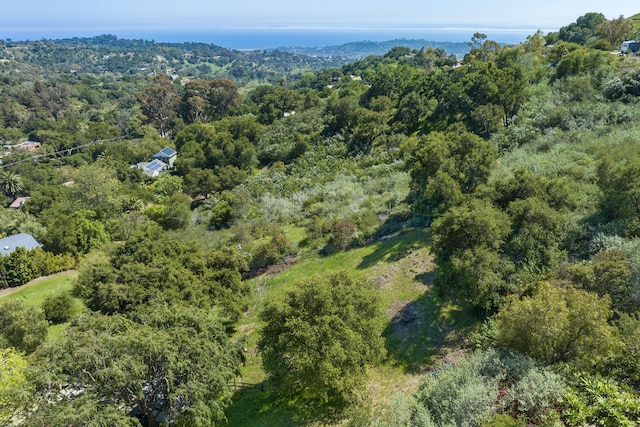 1433 Tunnel Rd, Santa Barbara, CA 93105