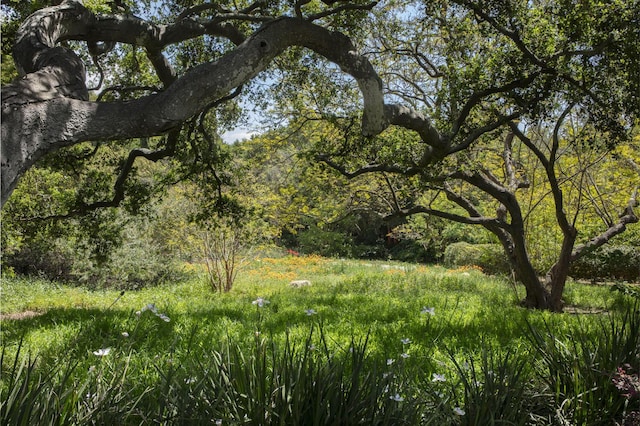 670 Hot Springs Rd, Montecito, CA 93108 - photo 35