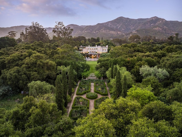 670 Hot Springs Rd, Montecito, CA 93108 - photo 36