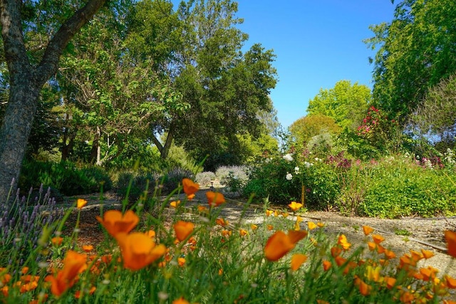 1516 Monarch Dr, Santa Ynez, CA 93460 - photo 29
