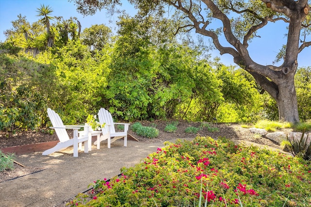 4004 Via Laguna, Santa Barbara, CA 93110 - photo 40