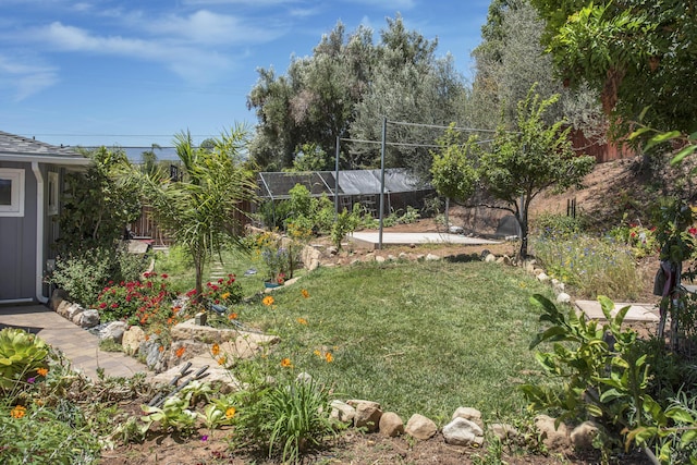 3933 Foothill Rd, Santa Barbara, CA 93110 - view of yard