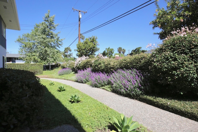 view of yard
