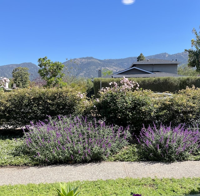 view of mountain backdrop