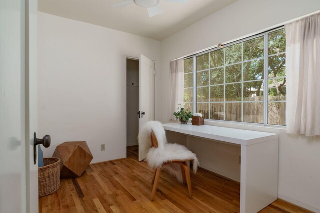 office featuring plenty of natural light, ceiling fan, and light wood-style floors
