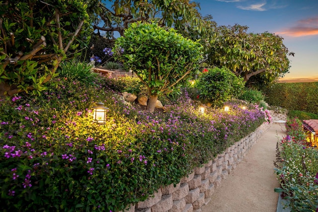 170 Loma Media Rd, Santa Barbara, CA 93103 - view of yard at dusk
