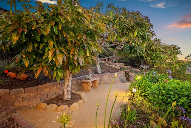 170 Loma Media Rd, Santa Barbara, CA 93103 - view of yard at dusk