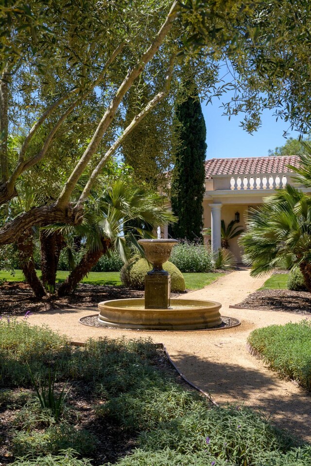 7200 Casitas Pass Rd, Carpinteria, CA 93103 - view of yard