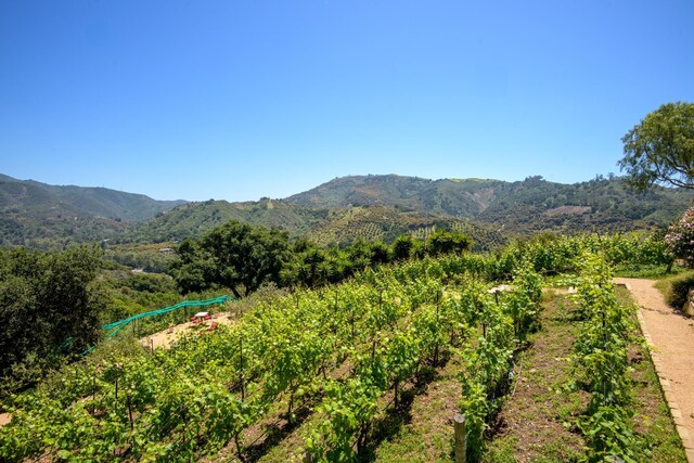 7200 Casitas Pass Rd, Carpinteria, CA 93103 - mountain view