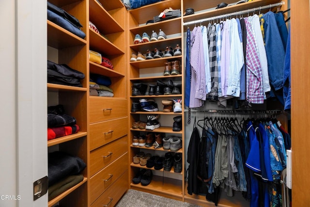 714 Nile River Dr, Oxnard, CA 93036 - spacious closet featuring carpet
