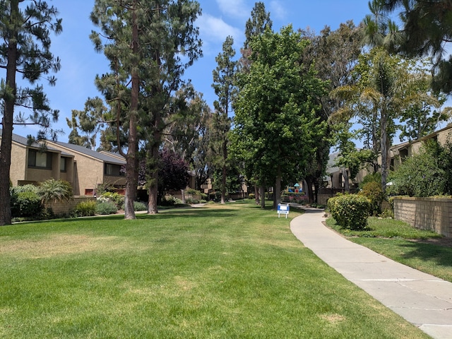 232 Rosewood St, Ventura, CA 93001 - photo 4