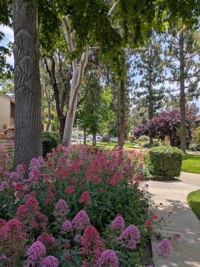 232 Rosewood St, Ventura, CA 93001 - photo 41