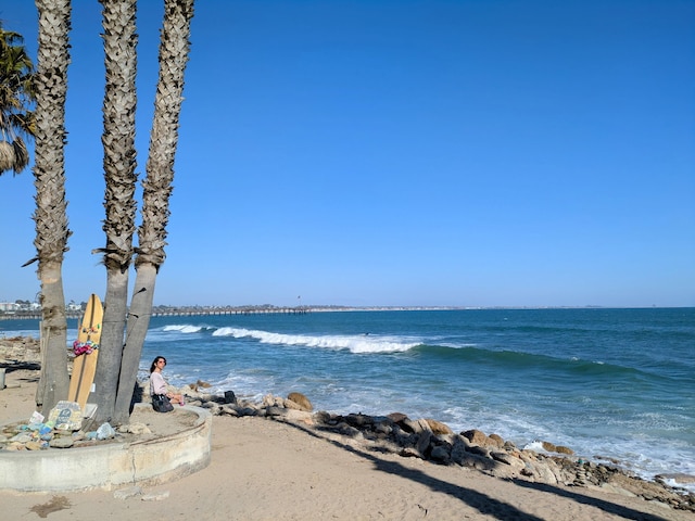 232 Rosewood St, Ventura, CA 93001 - photo 49