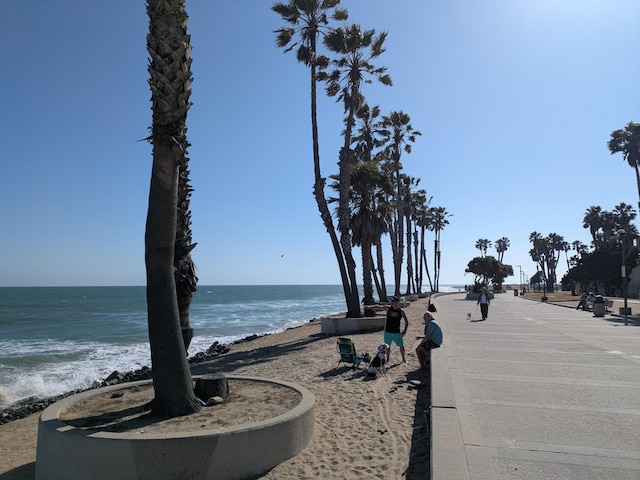 232 Rosewood St, Ventura, CA 93001 - photo 30