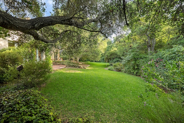 603 Juan Crespi Ln, Montecito, CA 93108 - view of grassy yard