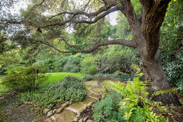 603 Juan Crespi Ln, Montecito, CA 93108 - view of yard with a view of trees