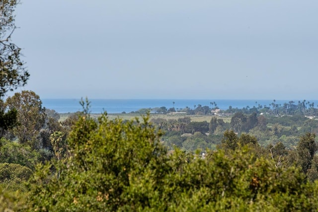 339 Sherwood Dr, Santa Barbara, CA 93110 - photo 4
