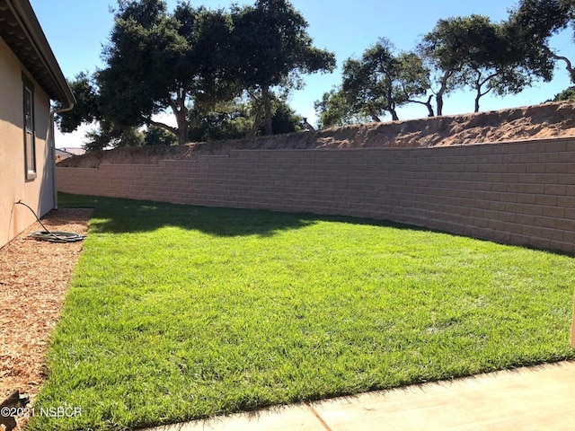 view of yard