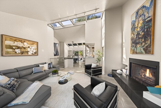 840 Cheltenham Rd, Santa Barbara, CA 93105 - living room with rail lighting, a skylight, a lit fireplace, and a high ceiling