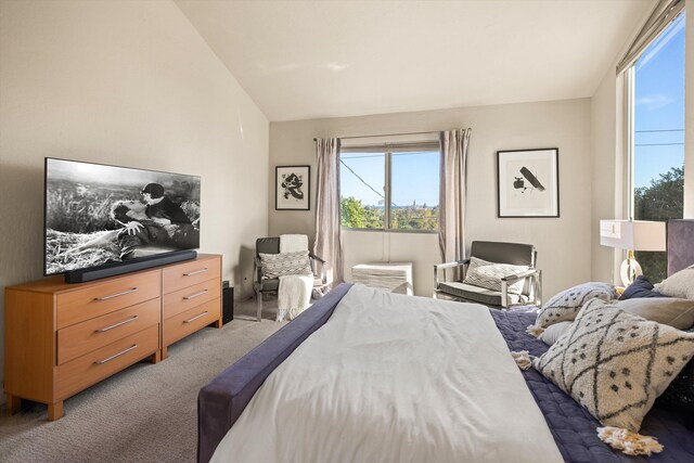 840 Cheltenham Rd, Santa Barbara, CA 93105 - bedroom with vaulted ceiling and light colored carpet