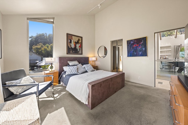 840 Cheltenham Rd, Santa Barbara, CA 93105 - carpeted bedroom featuring high vaulted ceiling, track lighting, and baseboards